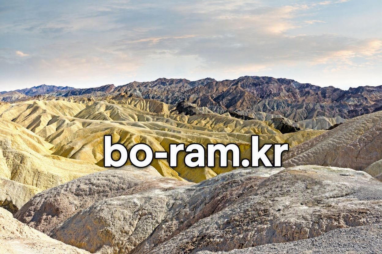 보람